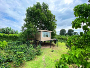 AIA Glamtree